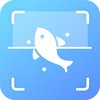 Fish identifier - Knowfish