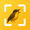 Bird Identifier: ChirpSense