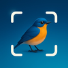 Bird Identifier: ID by Photo
