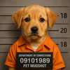 Pet Mugshot: Dog & Cat & All