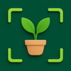 Plant Identifier AI Scanner