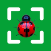 Easy Insect: Bug Identifier