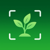 Plant Identifier - Plantr