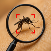 Mosquito Detecter