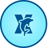 DolphinX VPN