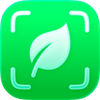 Plant Identifier - Plants AI
