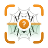 Spider Identifier & Scanner