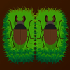 Beetle Identifier: Kabuto Hunt