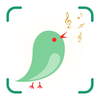 Bird Identifier: Bird Sound ID