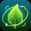 Leaf Identifier – Leafdify