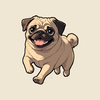 complimentary pug