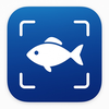 Fish Identifier - FinFind