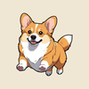 complimentary corgi