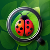 Insect Identifier・BugScan