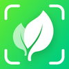 Plant Identifier - BloomID