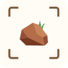 Rock identifier - rock scanner