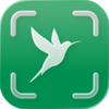 Bird Scanner ◦ AI Identifier