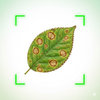 Plant Identifier AI: FloraAI