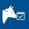 Cow Gestation Calculator