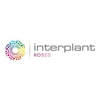 Interplant Roses