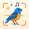 Identify Bird By Sound