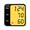 Blood Pressure Log & Tracker