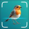 Bird Identifier - AI Scanner