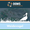 OBS de Weidevogel