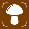 Mushroom Identifier: Mushrum