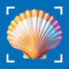 Sea Shell Identifier & Scan