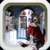 Escape Game: Cat and Cafe