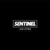 Sentinel Jiu-Jitsu