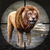 Wild Animal Hunting Games 3D