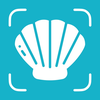 Sea Shell Identifier: Shellium