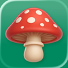 Mushroom Identifier: ShroomAI