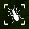 PestAI: Bug Identifier