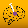 Brain Target Guidance