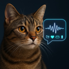 Cat Meow Mood Translator