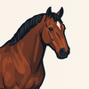 Horse Quiz Guess Breeds