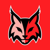 Perth Lynx