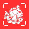 Mushroom Identifier AI PRO