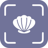 Shell Identifier - SI