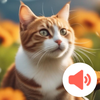 Cat Sounds: Meow Library