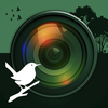 Birder Camera by Radiant Photo