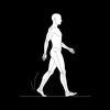 GaitVision :Walk Run Analyzer