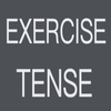 Exercise (Tense)