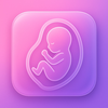 Pregnancy Tracker - Preggo