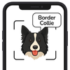 Dog Identifier:AI Breed Expert
