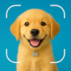 Dog Breed Scanner: Identifier