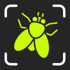Insect Identifier: Bug ID App